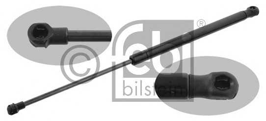 febibilstein 33560