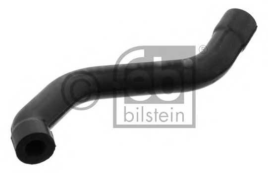 febibilstein 33851