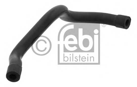 febibilstein 33852