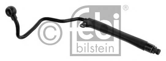 febibilstein 33937