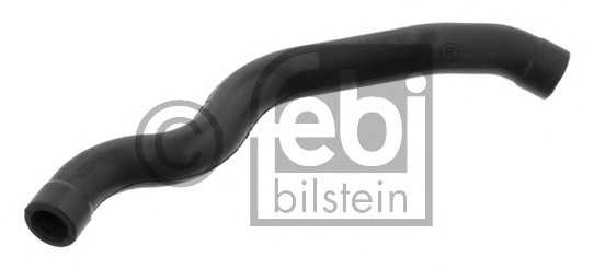 febibilstein 33946