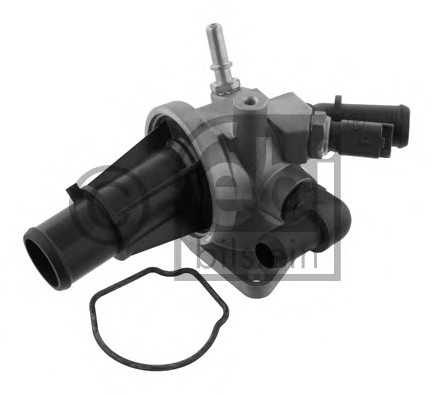 febibilstein 33956