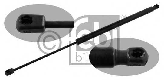 febibilstein 34431