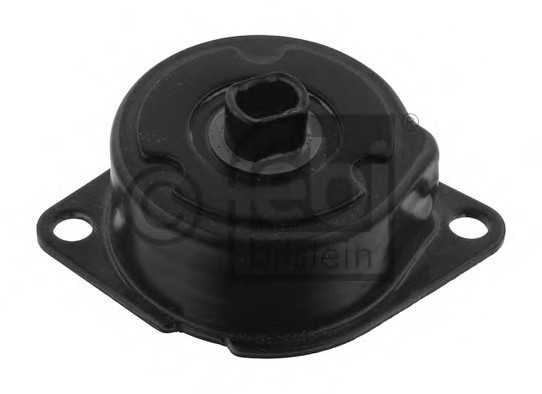 febibilstein 34504