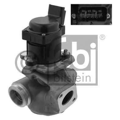 febibilstein 34925