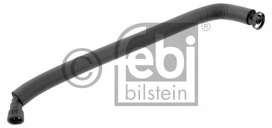 febibilstein 36031