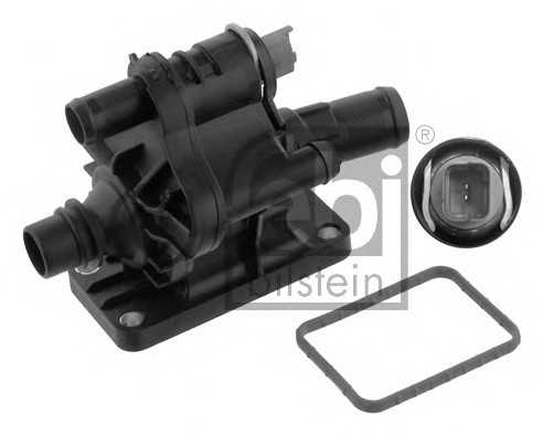 febibilstein 36036