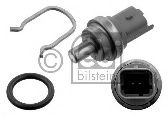 febibilstein 36038