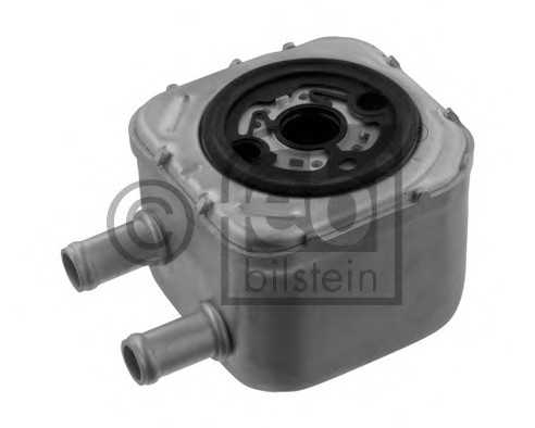 febibilstein 36117