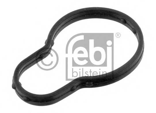 febibilstein 36166