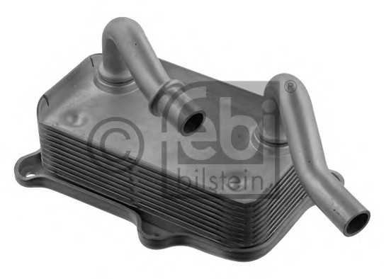 febibilstein 36368