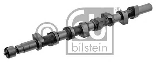 febibilstein 36369