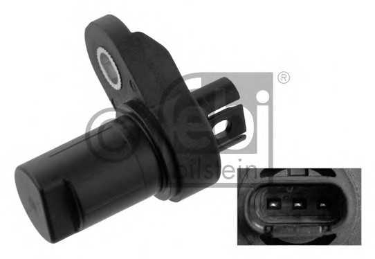febibilstein 36404