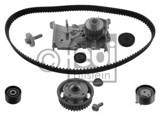 febibilstein 36444