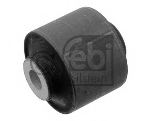 febibilstein 36458