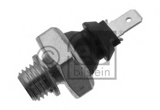 febibilstein 36500