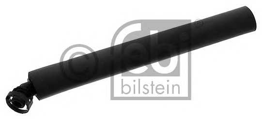 febibilstein 36730
