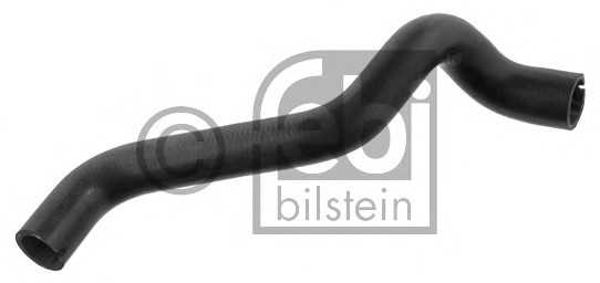 febibilstein 37123