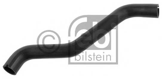 febibilstein 37348