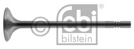 febibilstein 38311