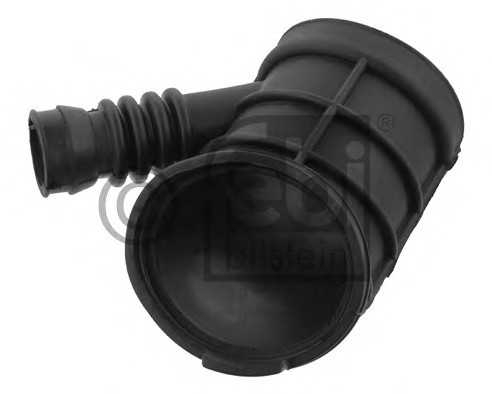 febibilstein 38542