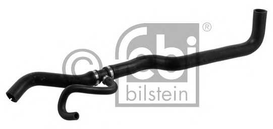 febibilstein 38591
