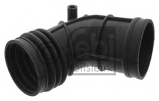 febibilstein 39055