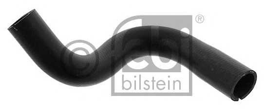 febibilstein 39080