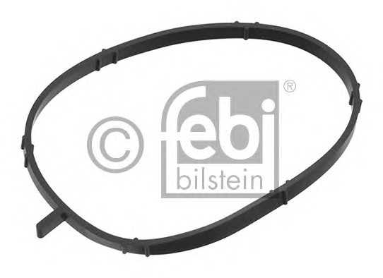 febibilstein 39736