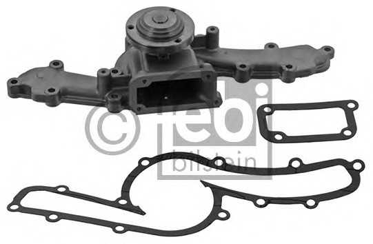 febibilstein 39882