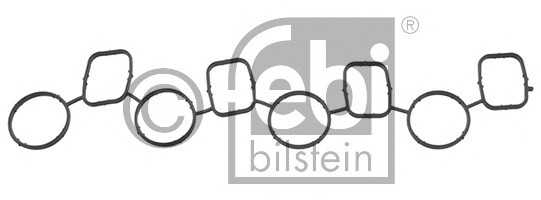 febibilstein 45218