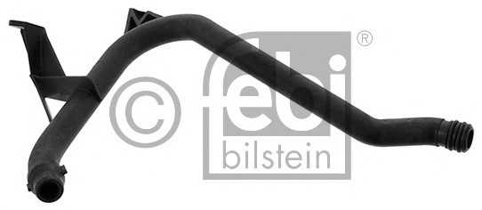 febibilstein 45351