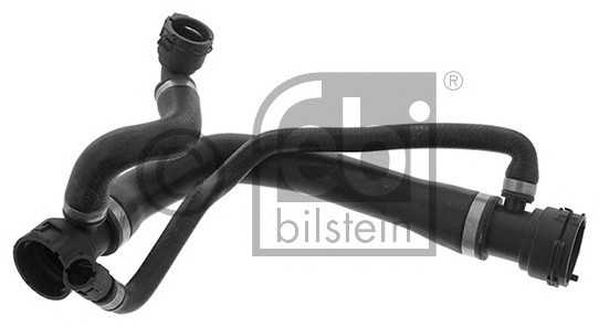 febibilstein 45818