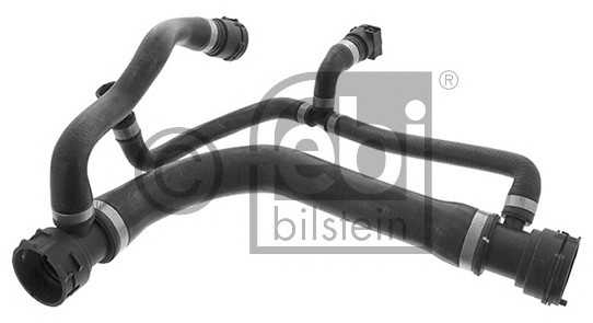 febibilstein 45819