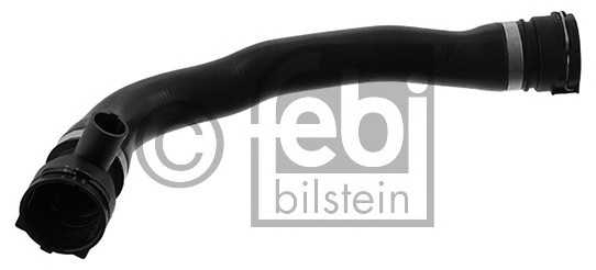 febibilstein 45842
