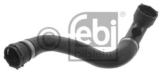 febibilstein 45843