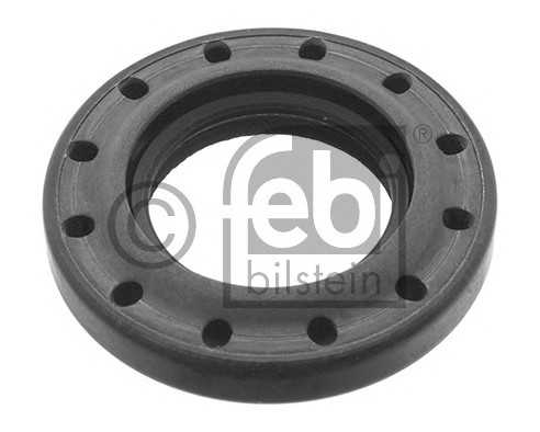 febibilstein 46184