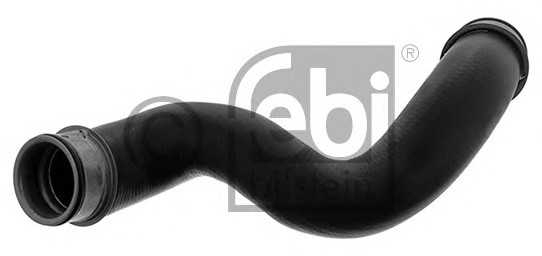 febibilstein 46386