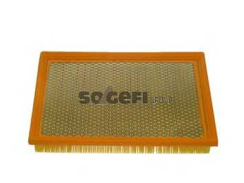 fram ca8817