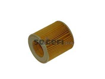 fram ch10075eco