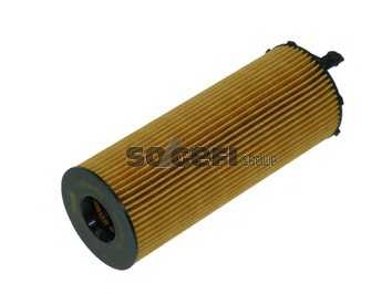 fram ch10636eco