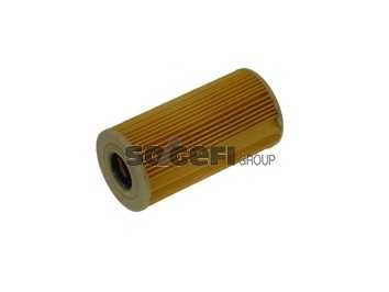 fram ch11208eco