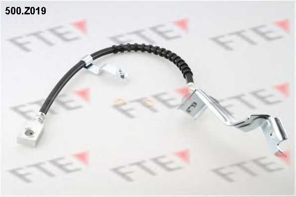 fte 500z019