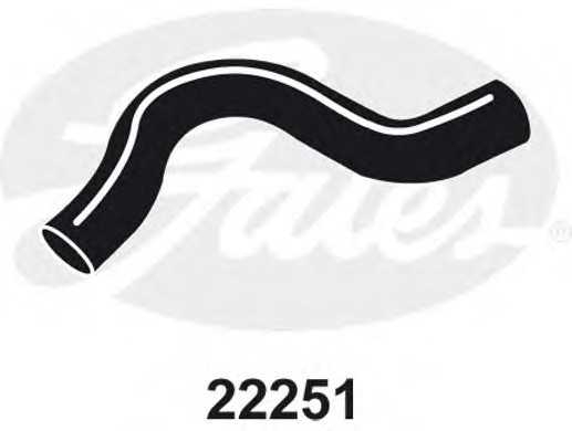 gates 22251