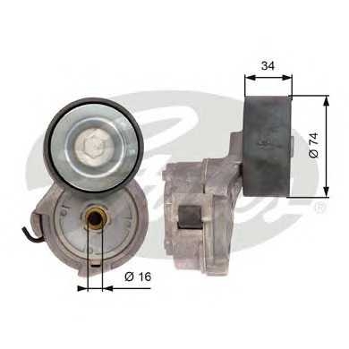 gates t38559