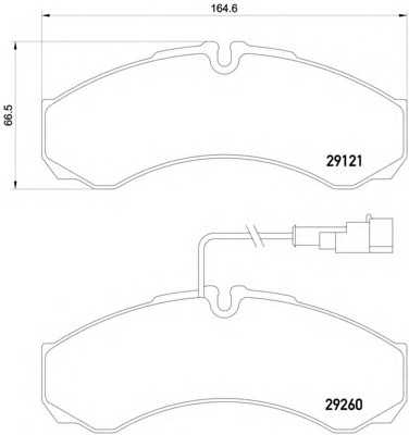 hellapagid 8db355005431