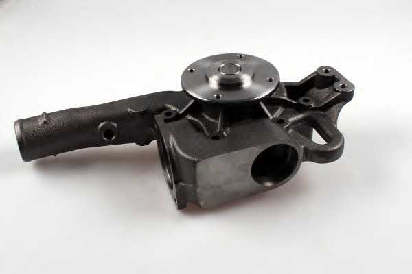 hepu p1562