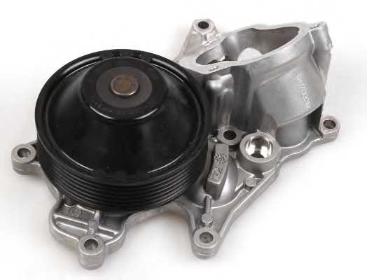 hepu p419