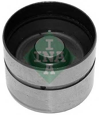 ina 420004310