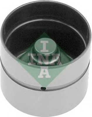 ina 420011810